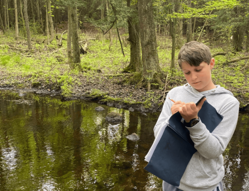 Building Ecological Literacy Skills Sparks Love for Creation