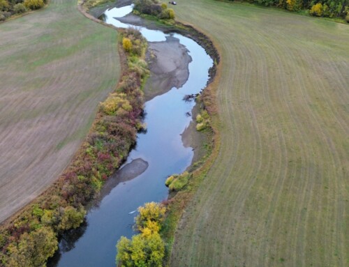 Corporate Sponsorship Opportunity – Buck Creek Hatchery and Nature Centre, Houston, BC